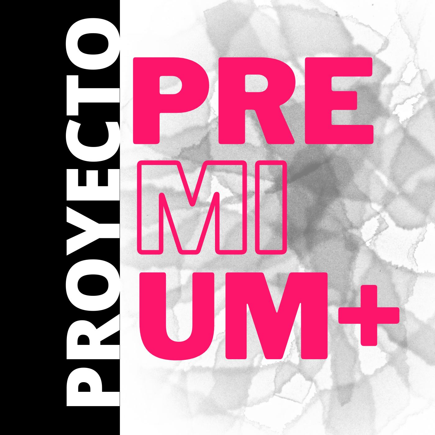 Proyecto premium +
