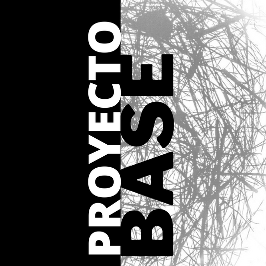 Proyecto Base